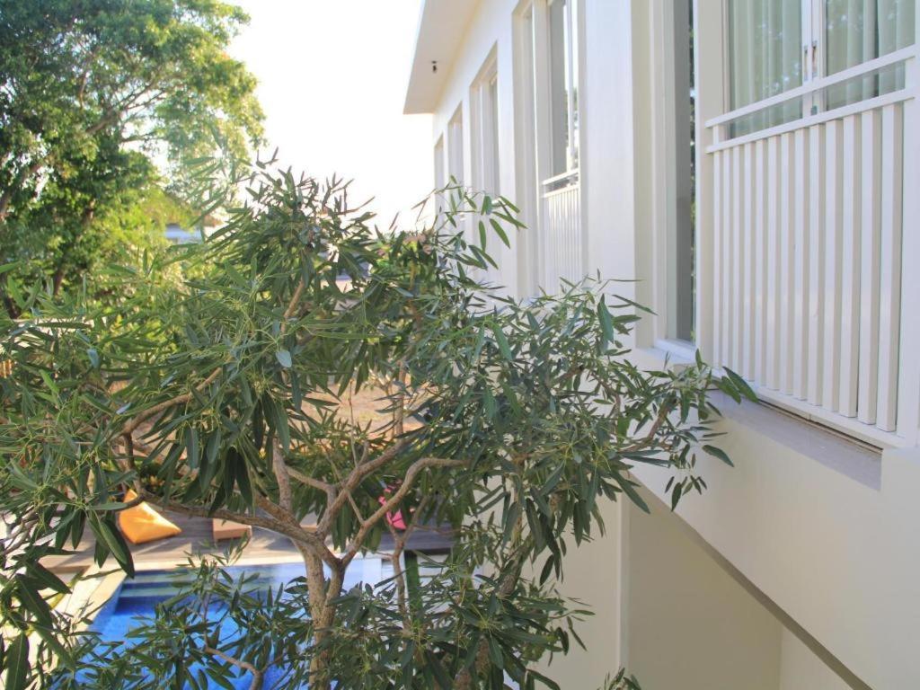 The Vinhill Studio Bali Apartment Eksteriør billede