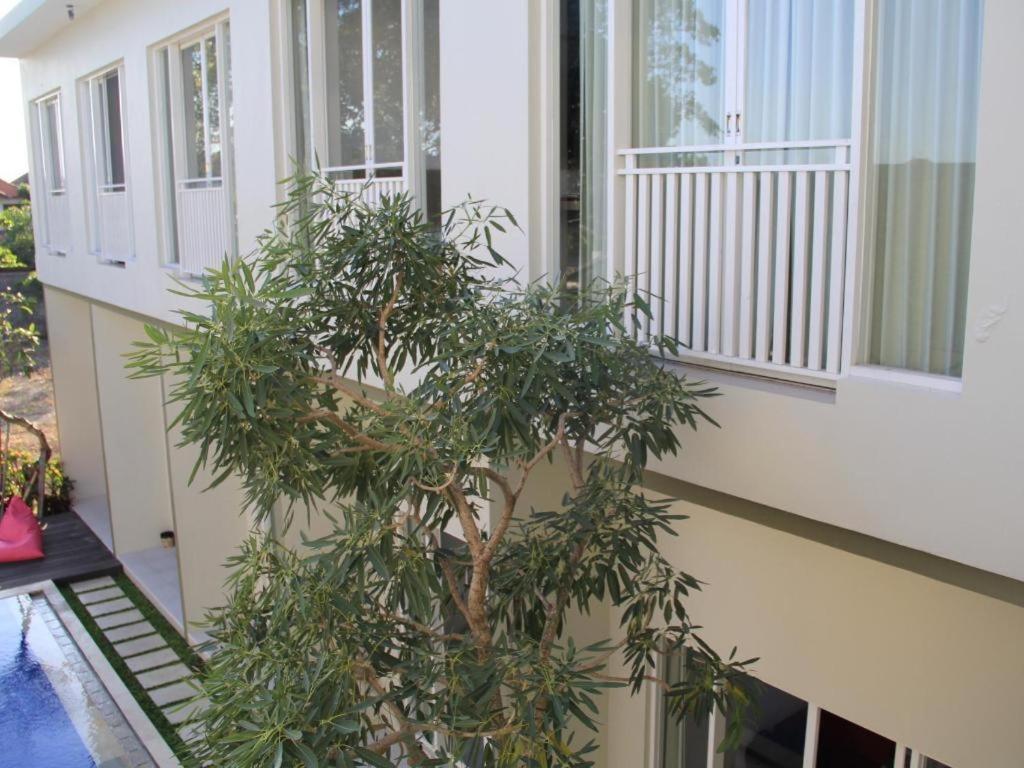 The Vinhill Studio Bali Apartment Eksteriør billede